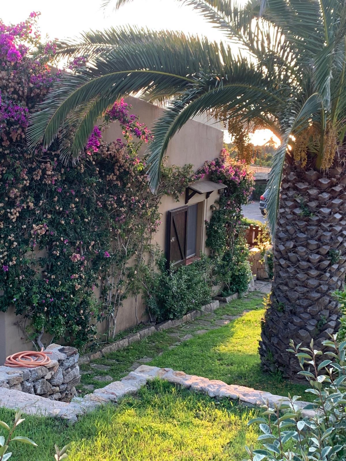 Giardino con bougainville